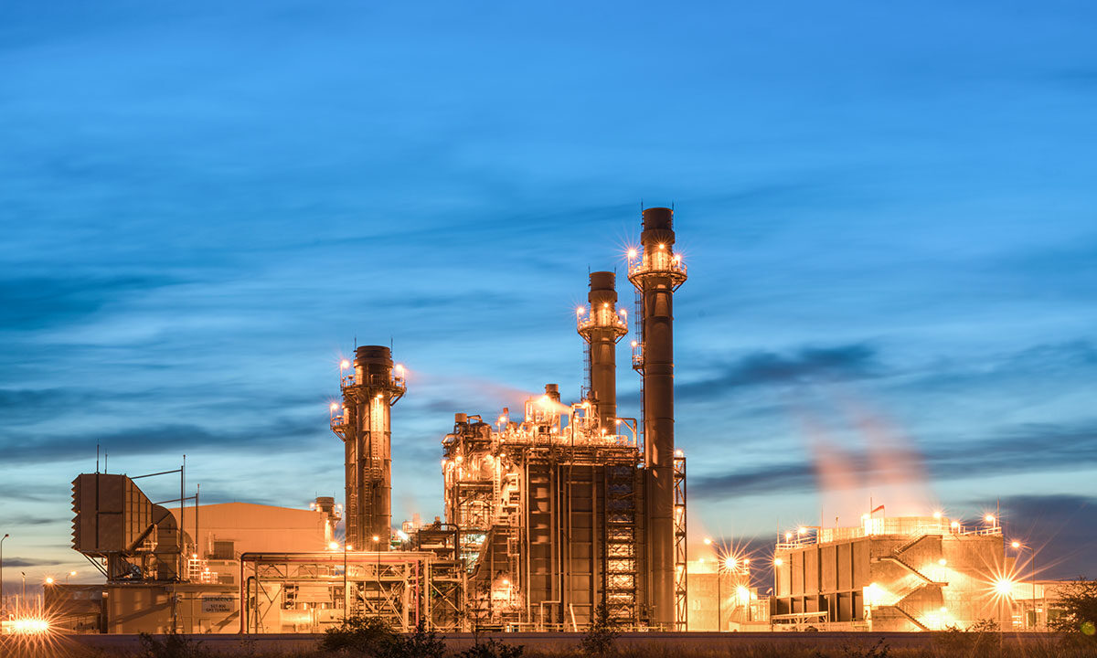 Incongruous feline nolo contendre gratuitous