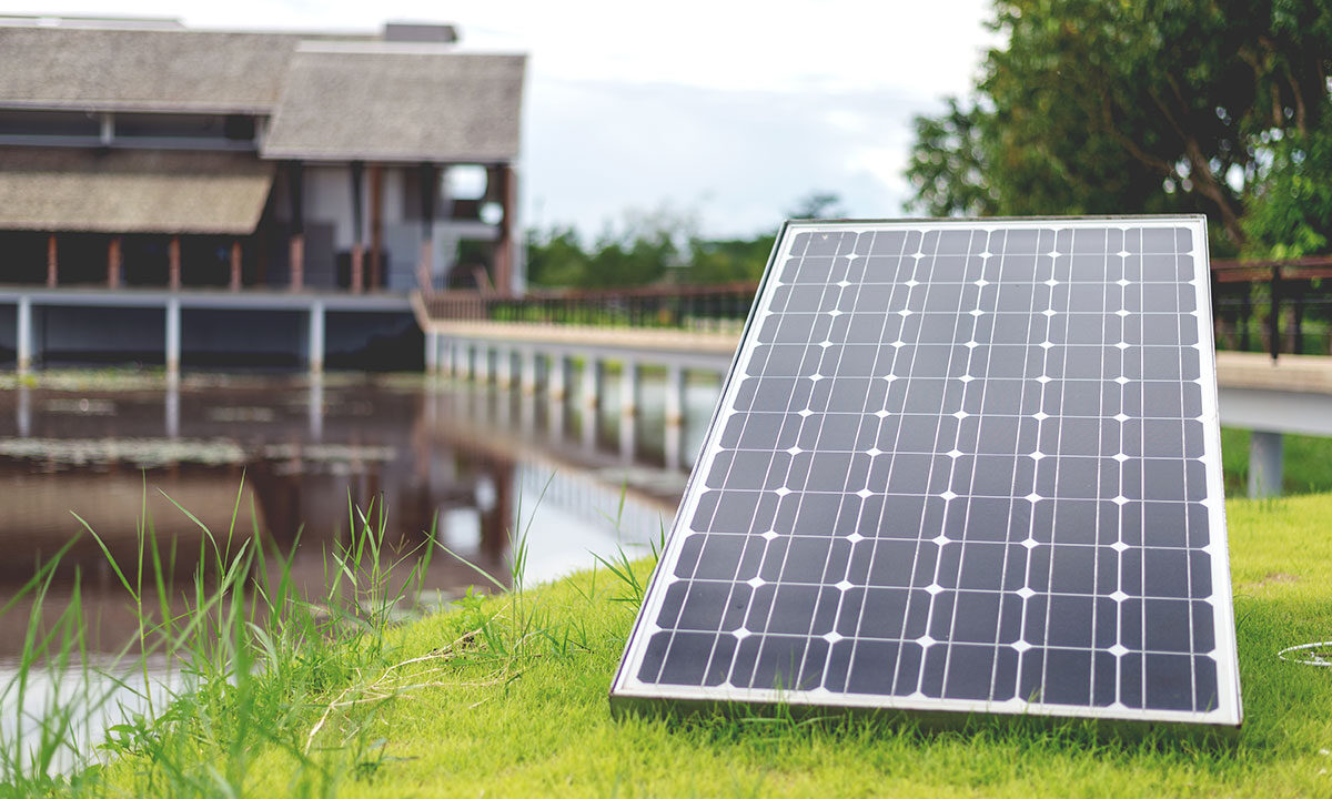 Incongruous feline nolo contendre gratuitous